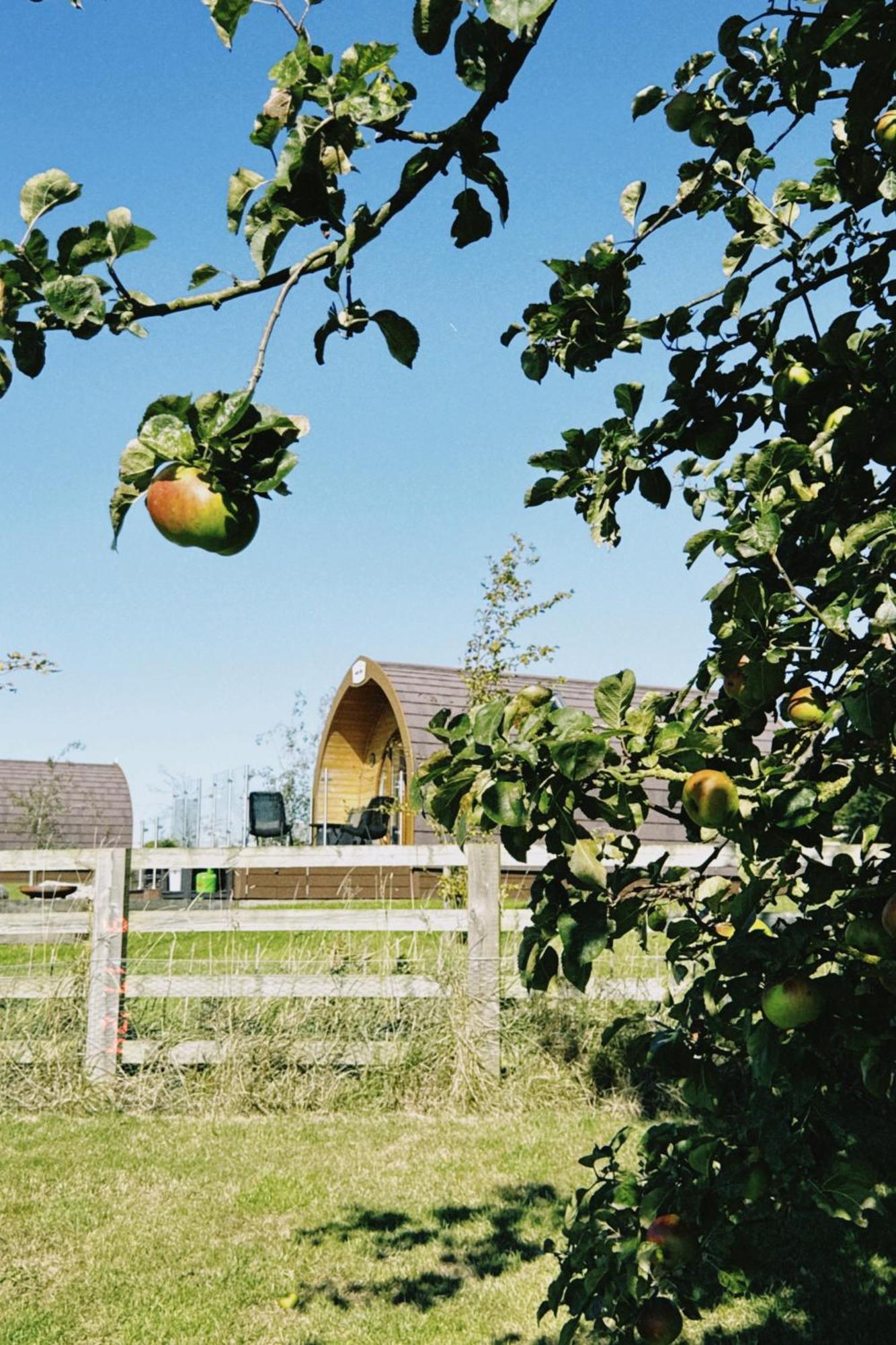 斯坦福桥Mingle Dale- Bugthorpe Grange Glamping别墅 外观 照片